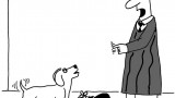 JudgeCartoon